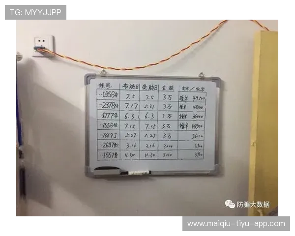 玩球大数据分析软件电子真人防骗避坑规则技巧